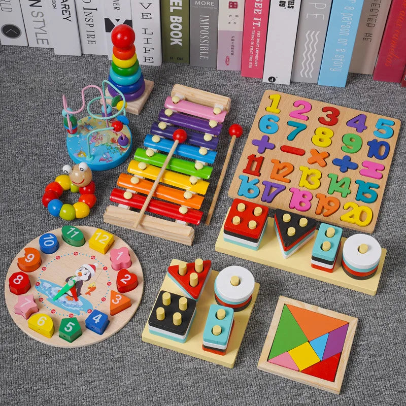 Montessori Wooden Educational Toys