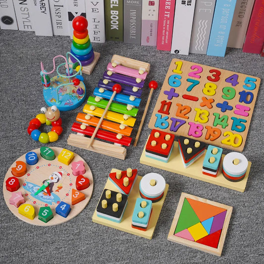 Montessori Wooden Educational Toys